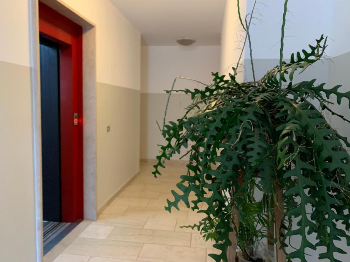 B&B Verona Business And Fun G B Rossi Friendly Extérieur photo